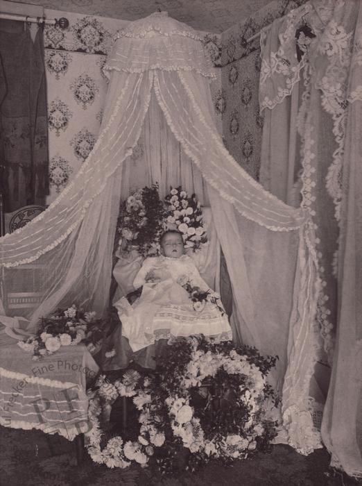 Baby under a net canopy I