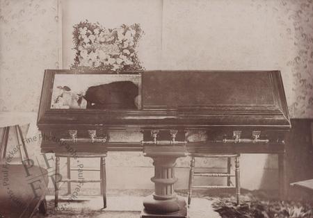 Man in a coffin with glass viewing panel