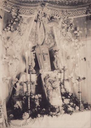 Peruvian angelito II